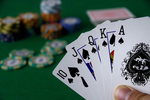 ポーカーポーカー 出演社の魅力と戦略